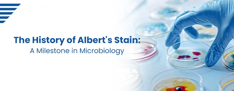 The History of Albert's Stain