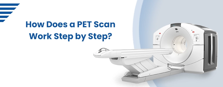 How Does a PET Scan Work Step by Step