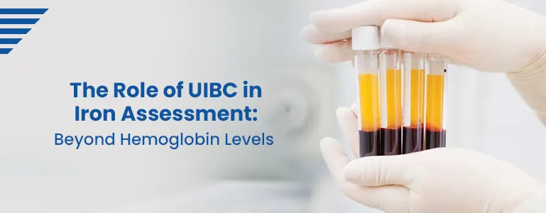 uibc-role-iron-assessment
