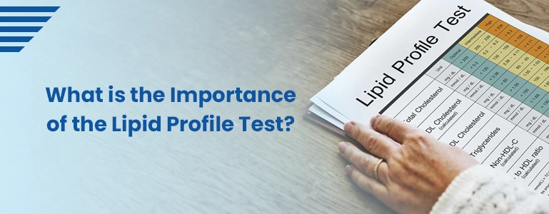 What is the Importance of the Lipid Profile Test