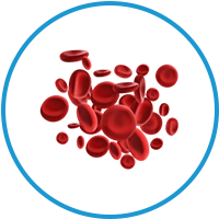 blood