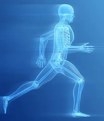 Bone Checkup package