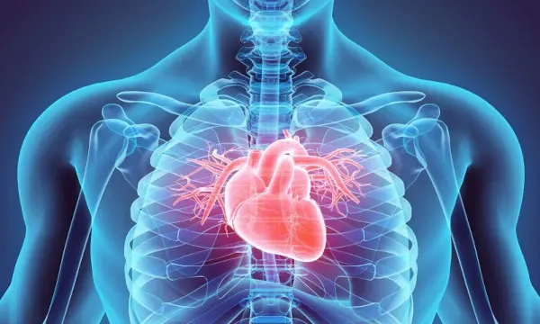 Cardiology