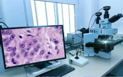Histopathology