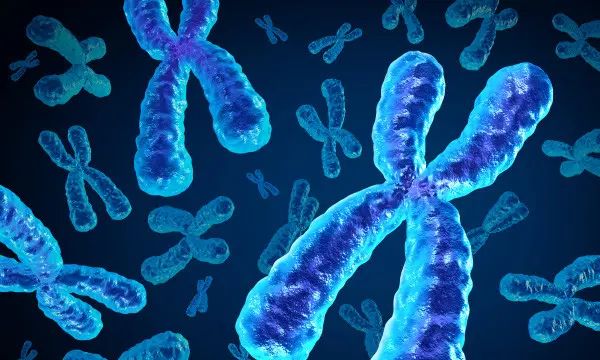 Cytogenetics