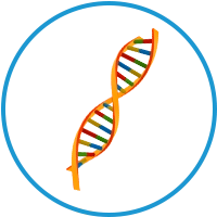 gene