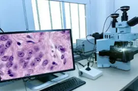 Histopathology