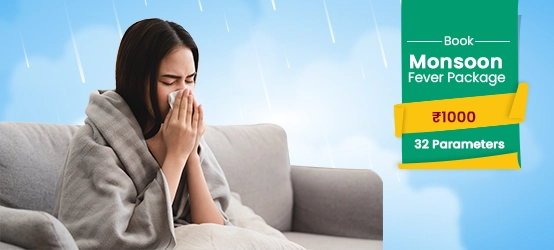 Monsoon Fever Package