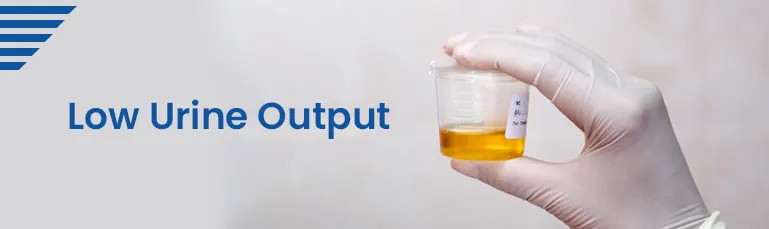 Low Urine Output
